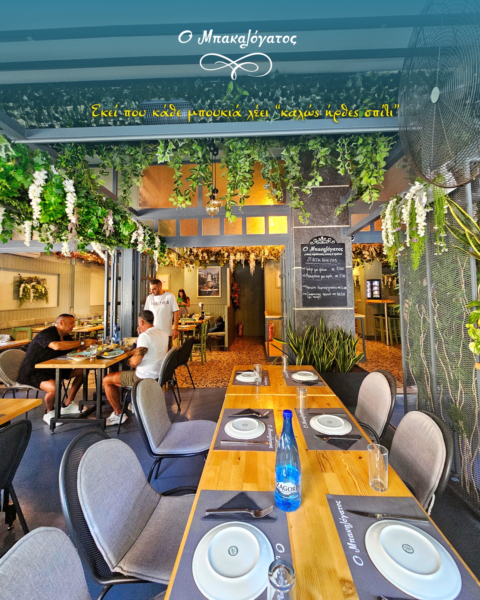 Φωτογραφία γκαλερί 50 - Ο Μπακαλόγατος